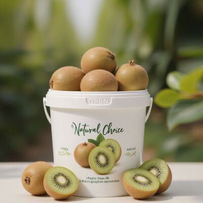 300ml~10L atmungsaktiver Frischhalte-Fruchtverpackungseimer mit Deckel und Griff, Fruchtspeicherbehälter für Kiwifrüchte