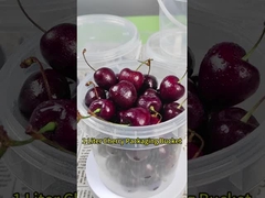 1L Plastikbehälter für kondensierte Milch, Honig, Eiscreme und Lebensmittel