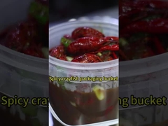 Durchsichtige Plastikbehälter mit Deckel